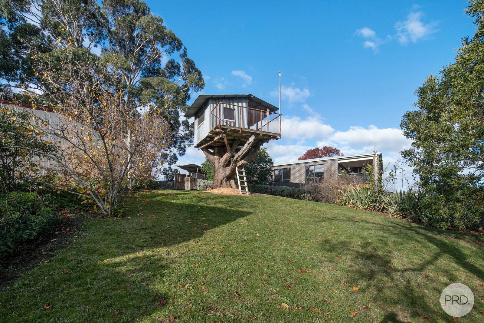 3 Harvey Street CRESWICK 21