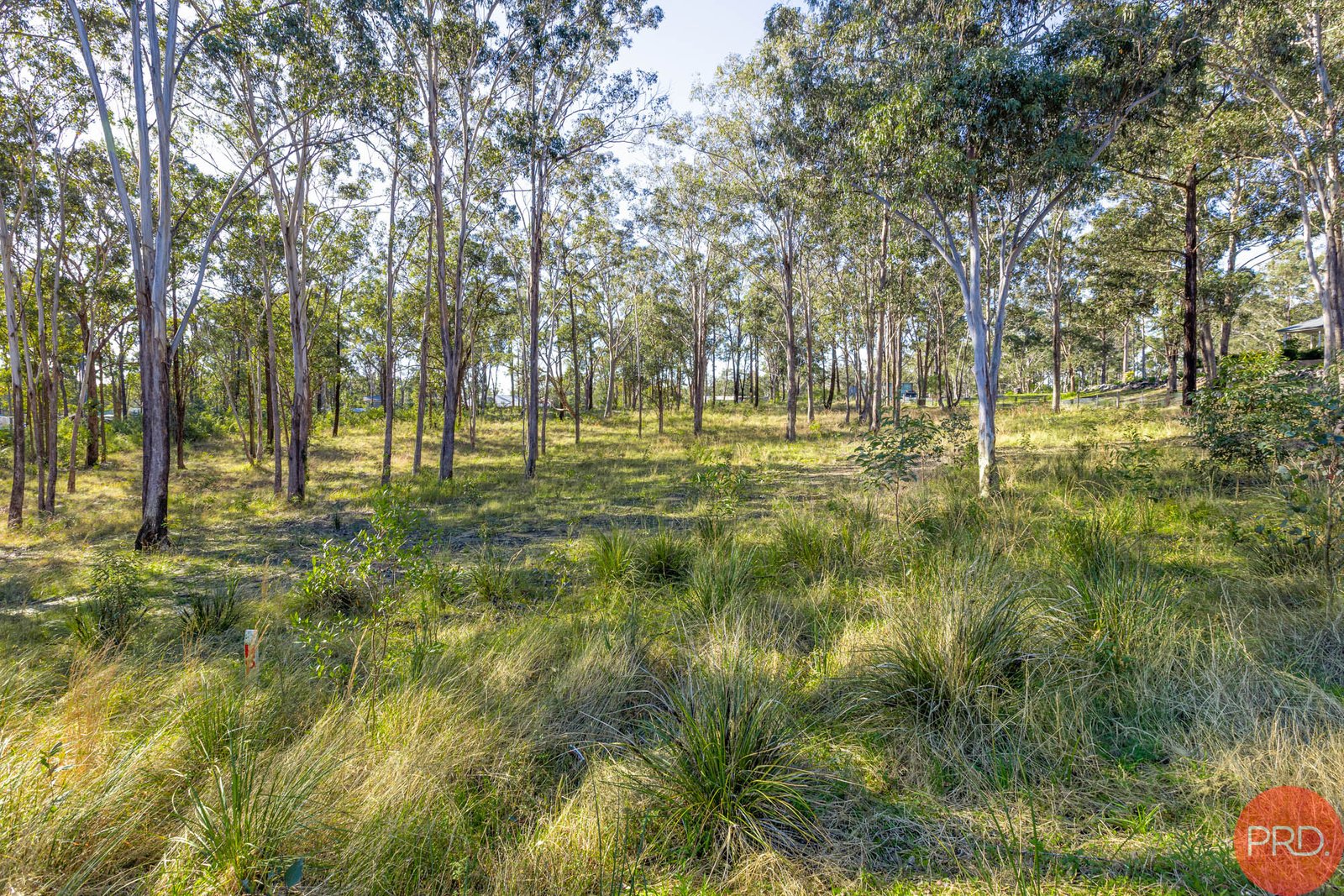 3 HillRidge Close GLEN OAK 6