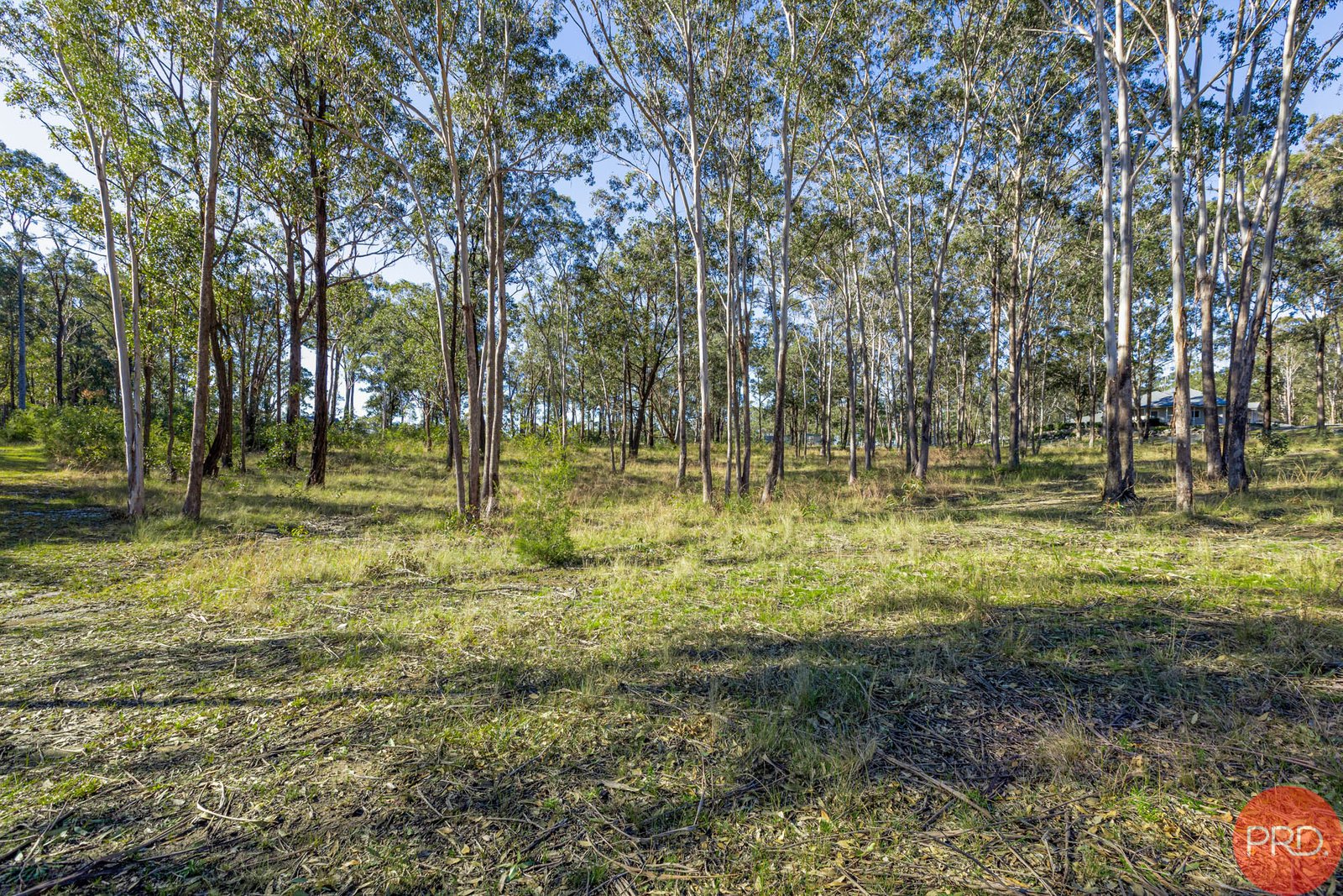 3 HillRidge Close GLEN OAK 7