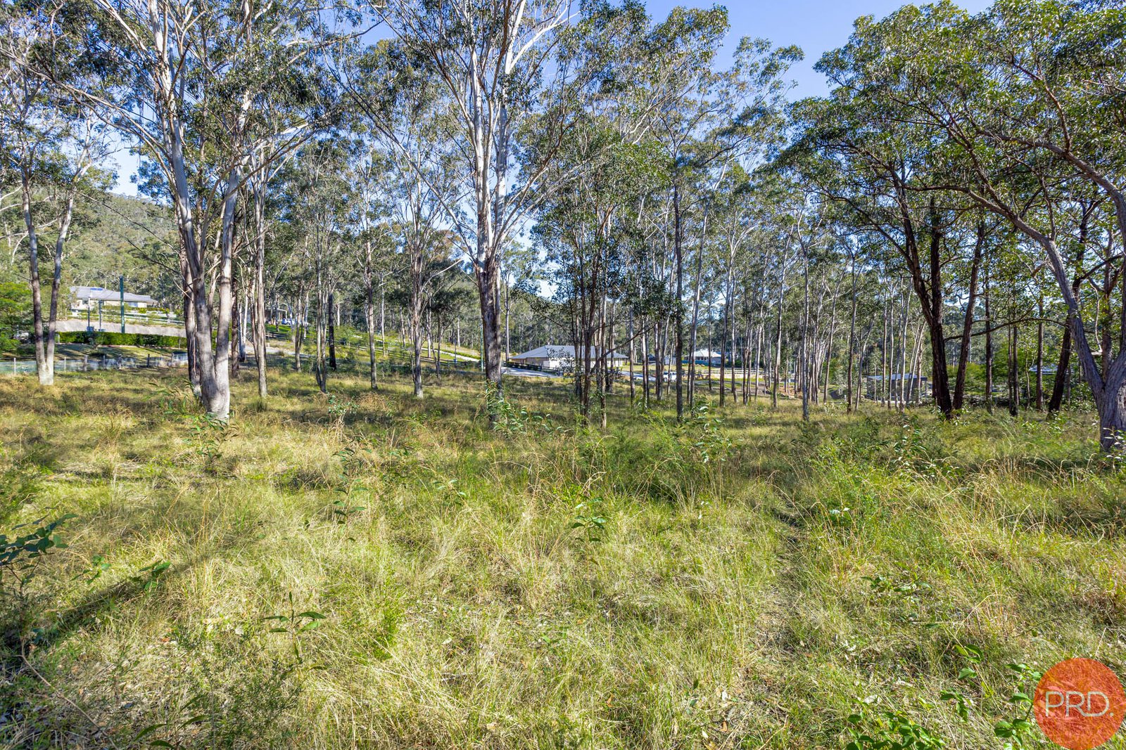 3 HillRidge Close GLEN OAK 8