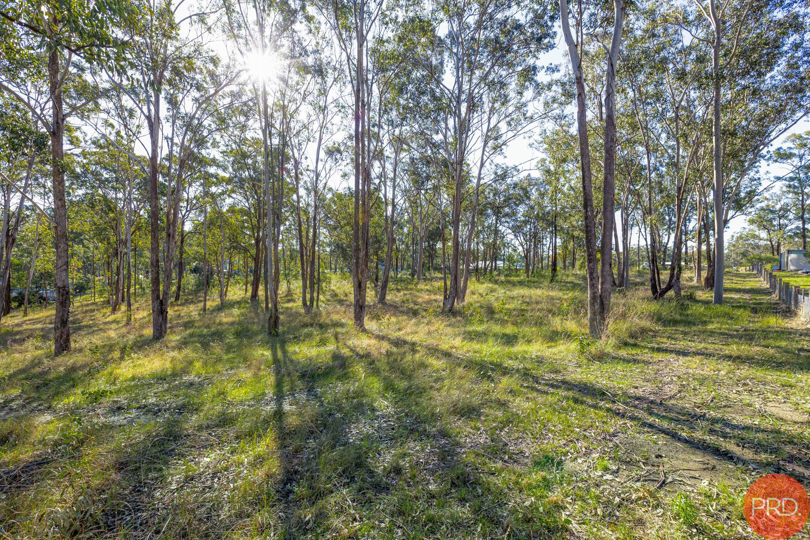 3 HillRidge Close GLEN OAK 9