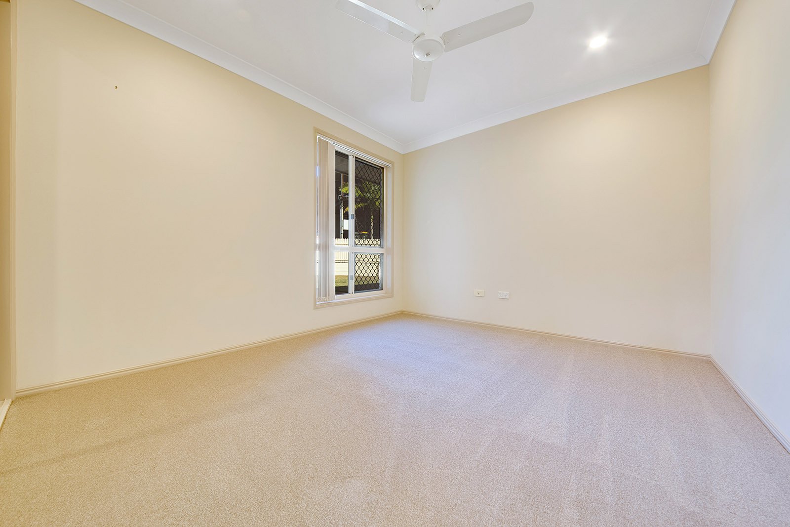 3 Hillview Place NEW AUCKLAND 8