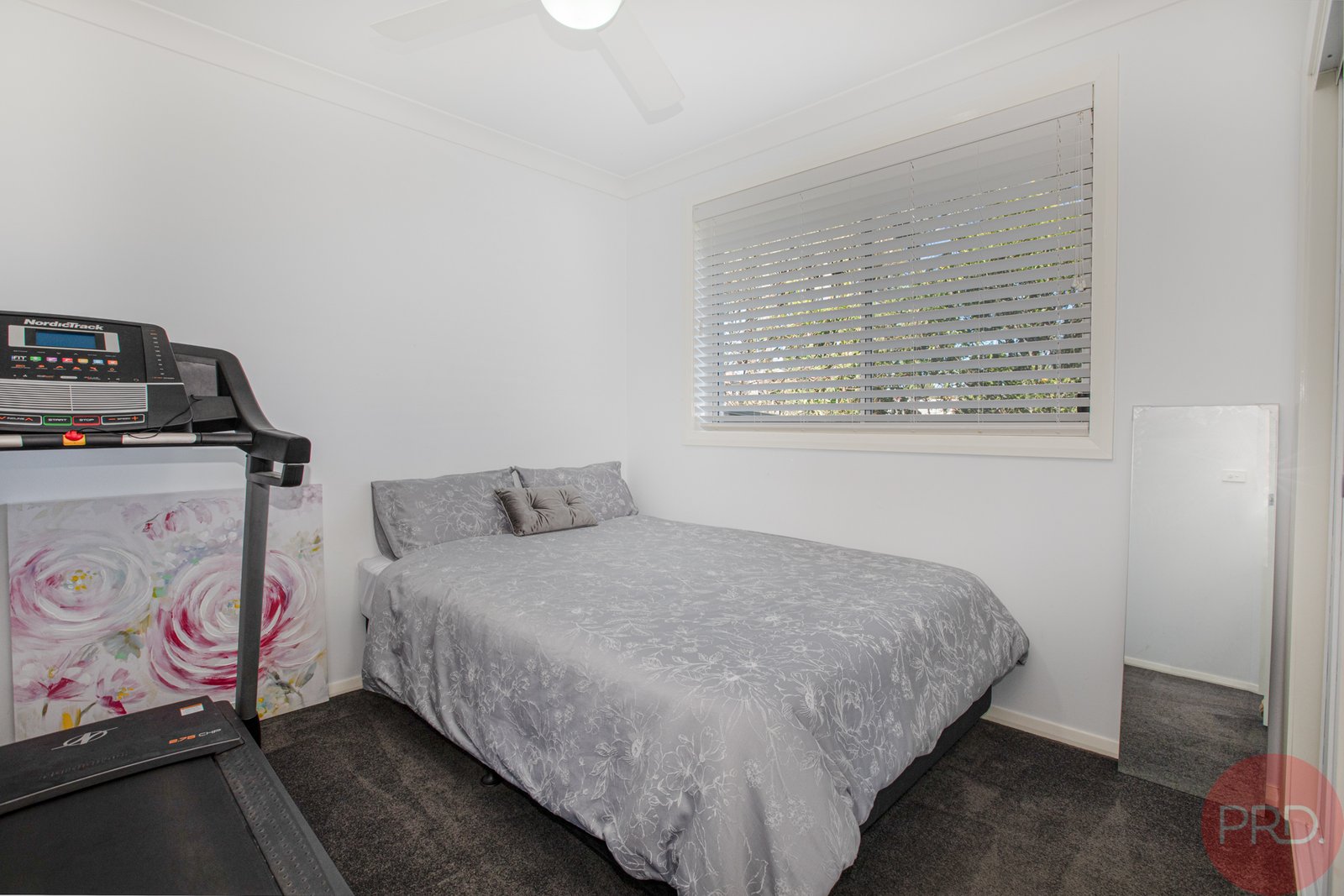 3 Hinder Street EAST MAITLAND 12