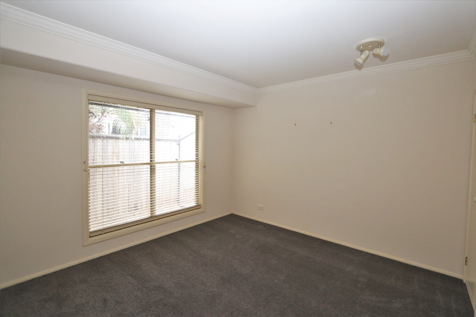 3 Kawana Crescent ASHMORE 15