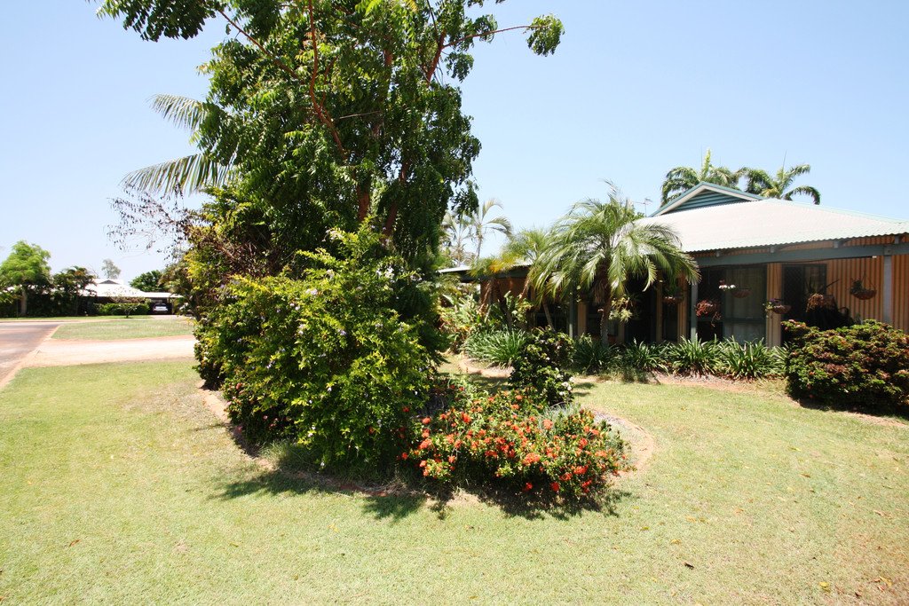 3 Knot Grove DJUGUN 2