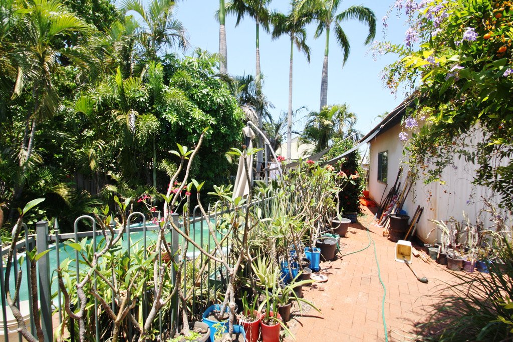 3 Knot Grove DJUGUN 15