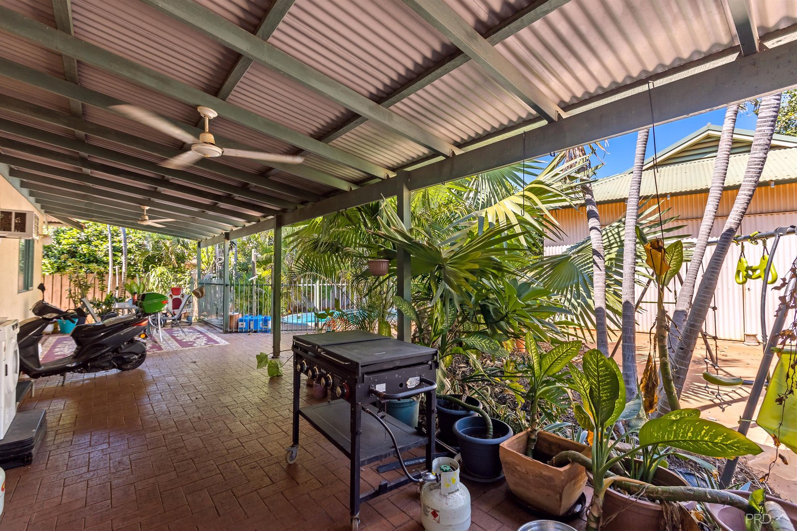 3 Knot Grove DJUGUN 5