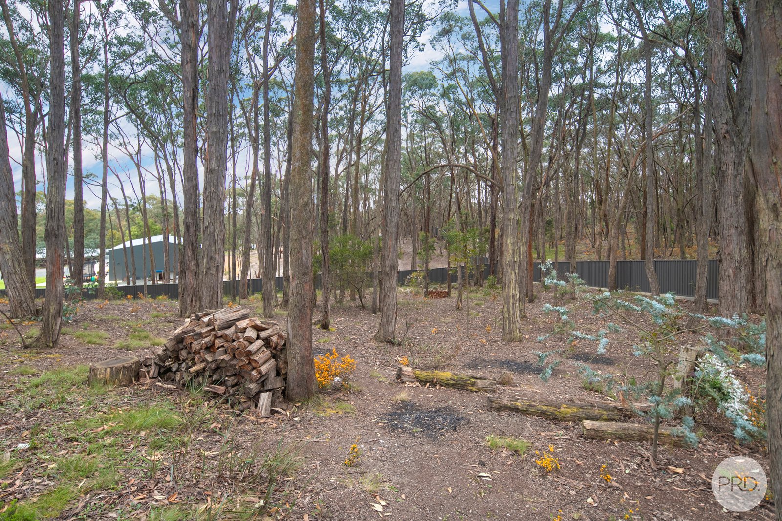 3 Kookaburra Close MOUNT HELEN 21