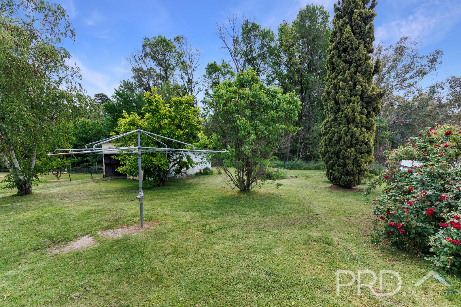 3 Macquarie Street TUMUT 13