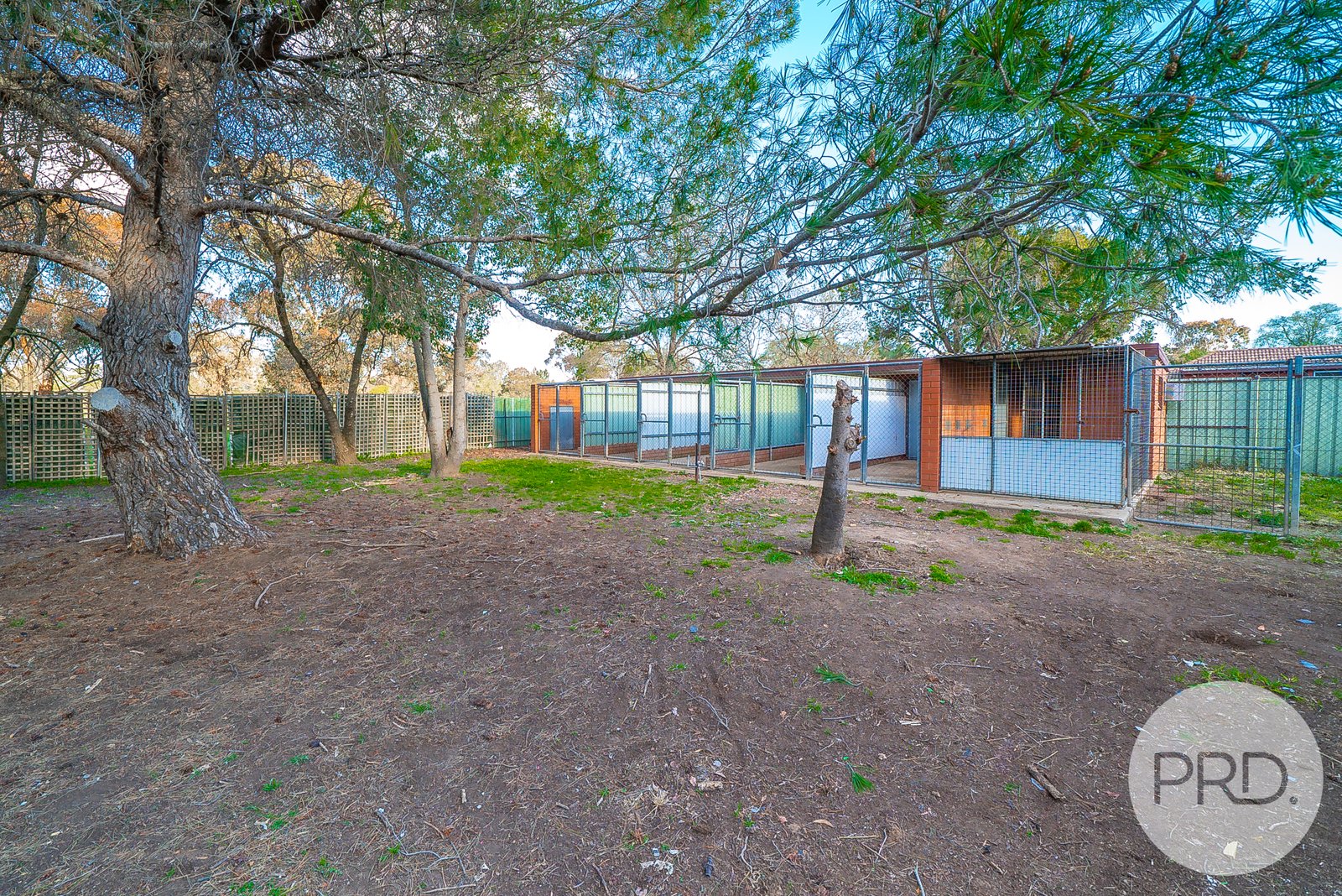 3 Maple Road LAKE ALBERT 12