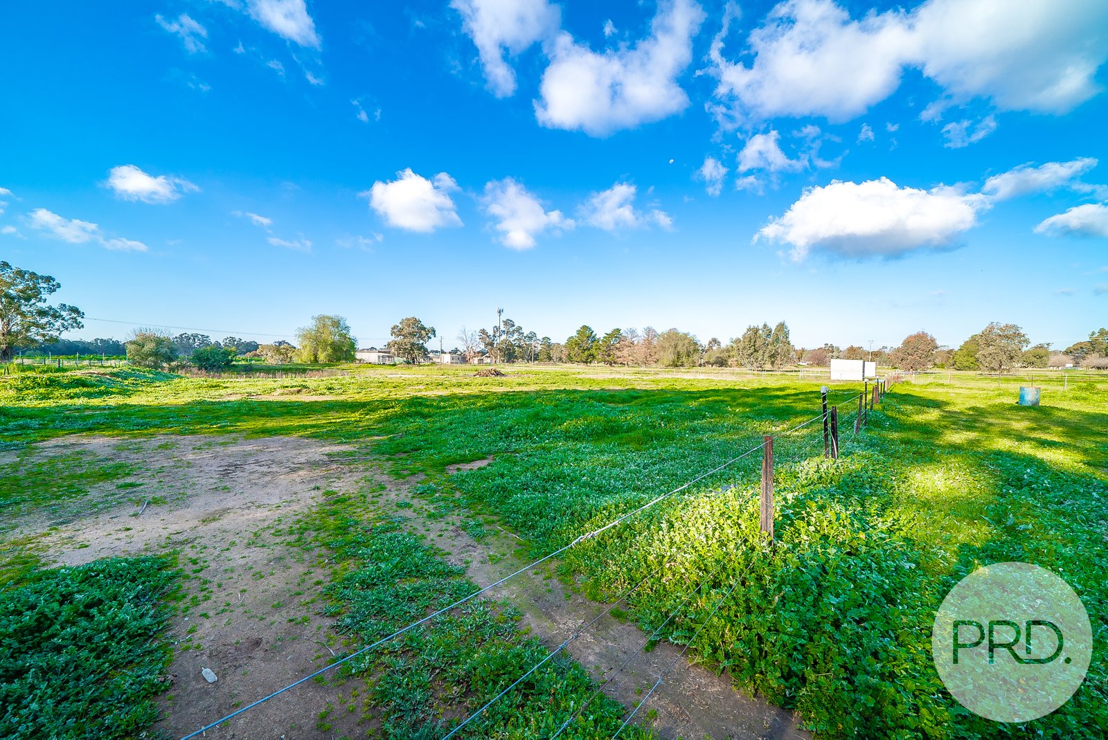 3 Maple Road LAKE ALBERT 14