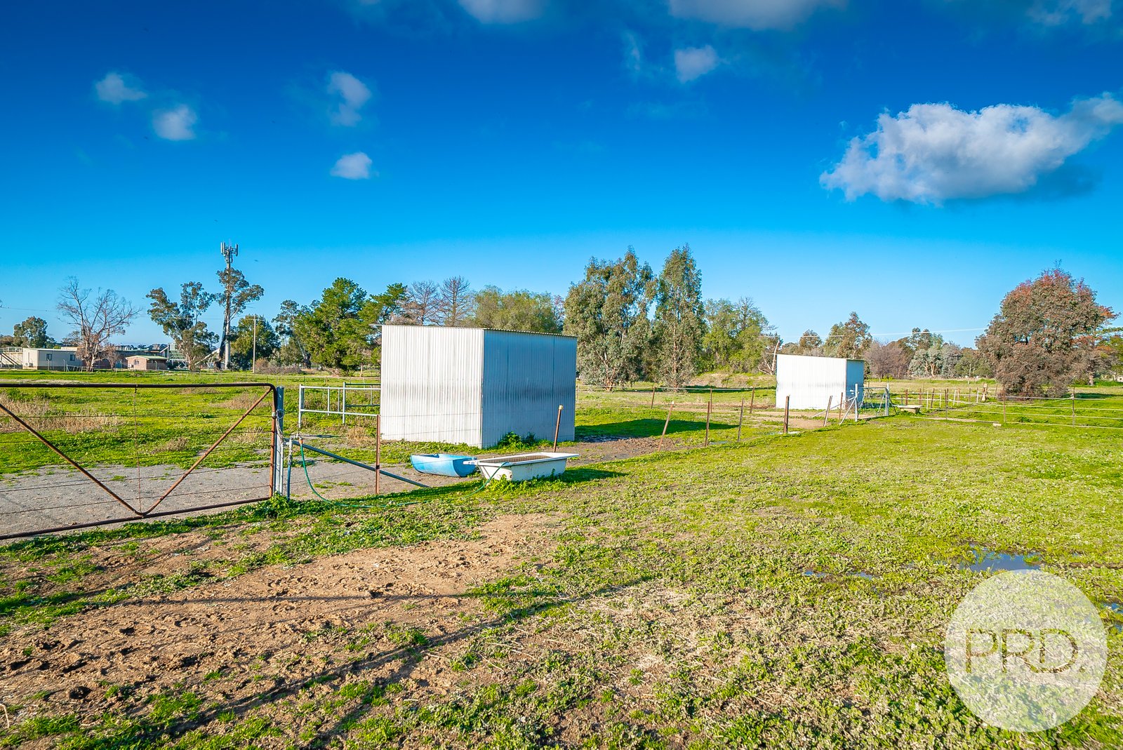 3 Maple Road LAKE ALBERT 18