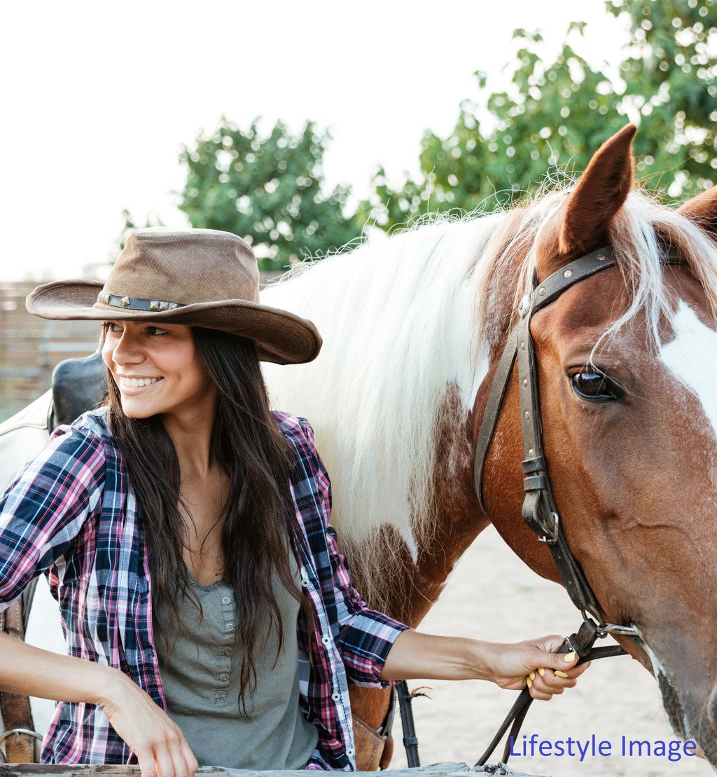 3 Maple Road LAKE ALBERT 9