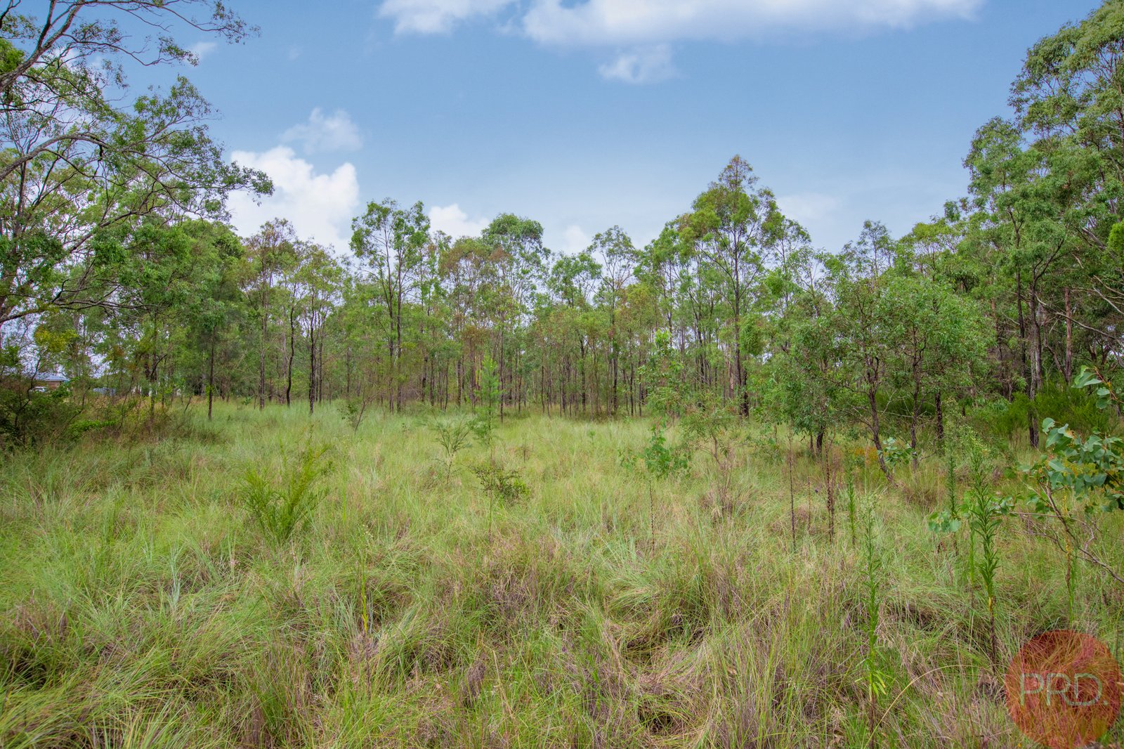 3 Merewether Close NORTH ROTHBURY 2