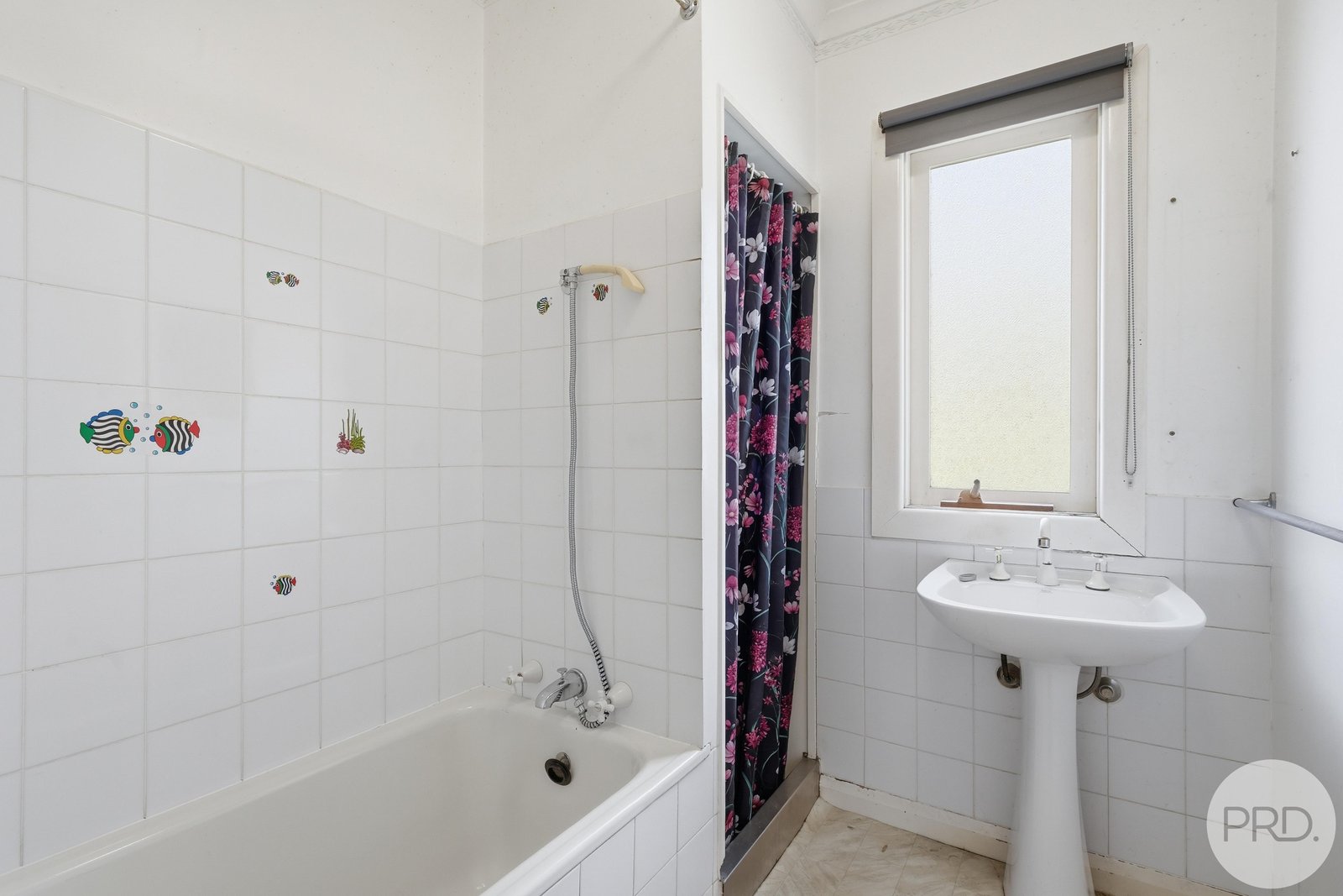 3 Montagu Bay Road MONTAGU BAY 19