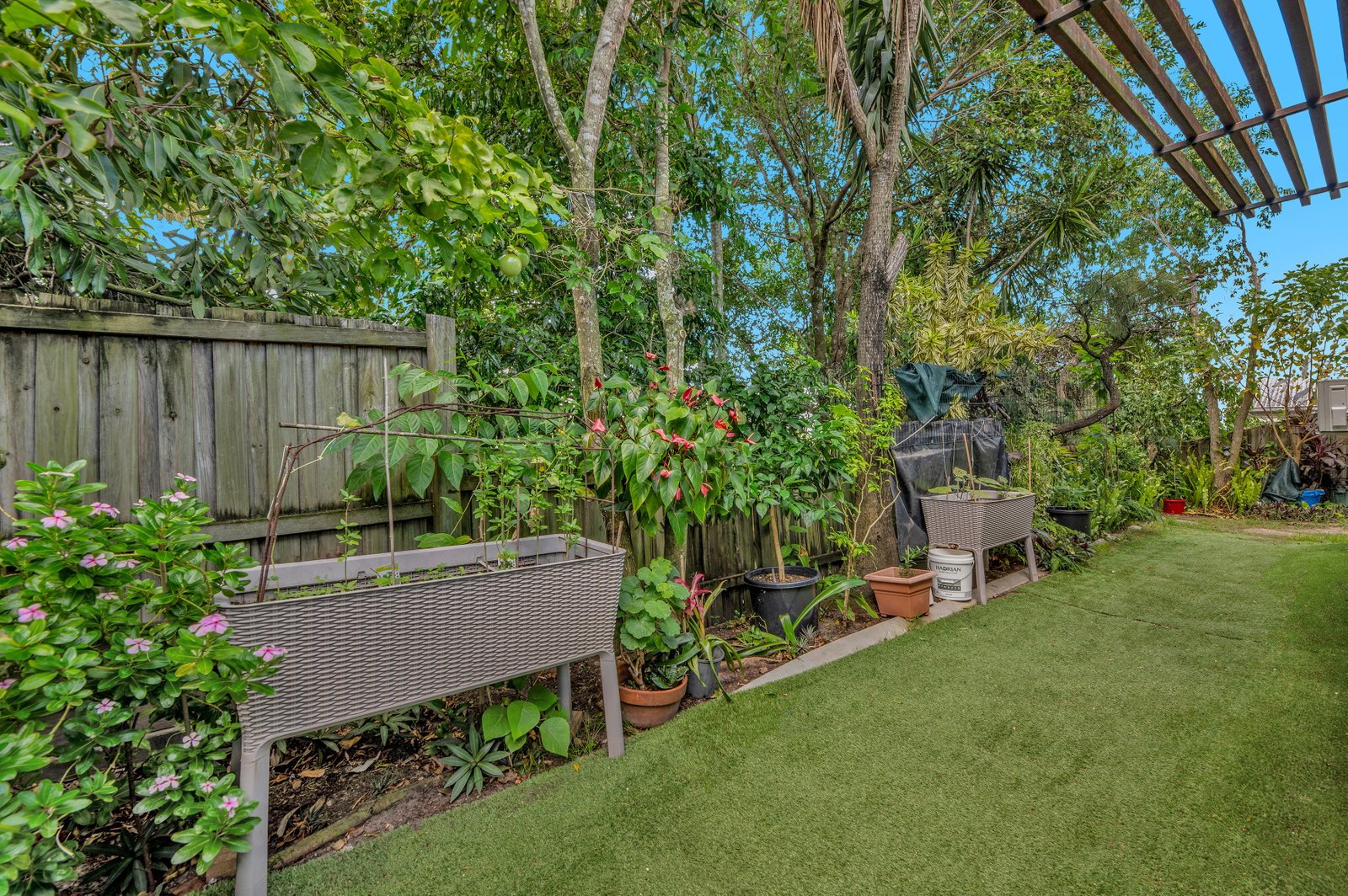 3 Norfolk Drive PACIFIC PINES 7