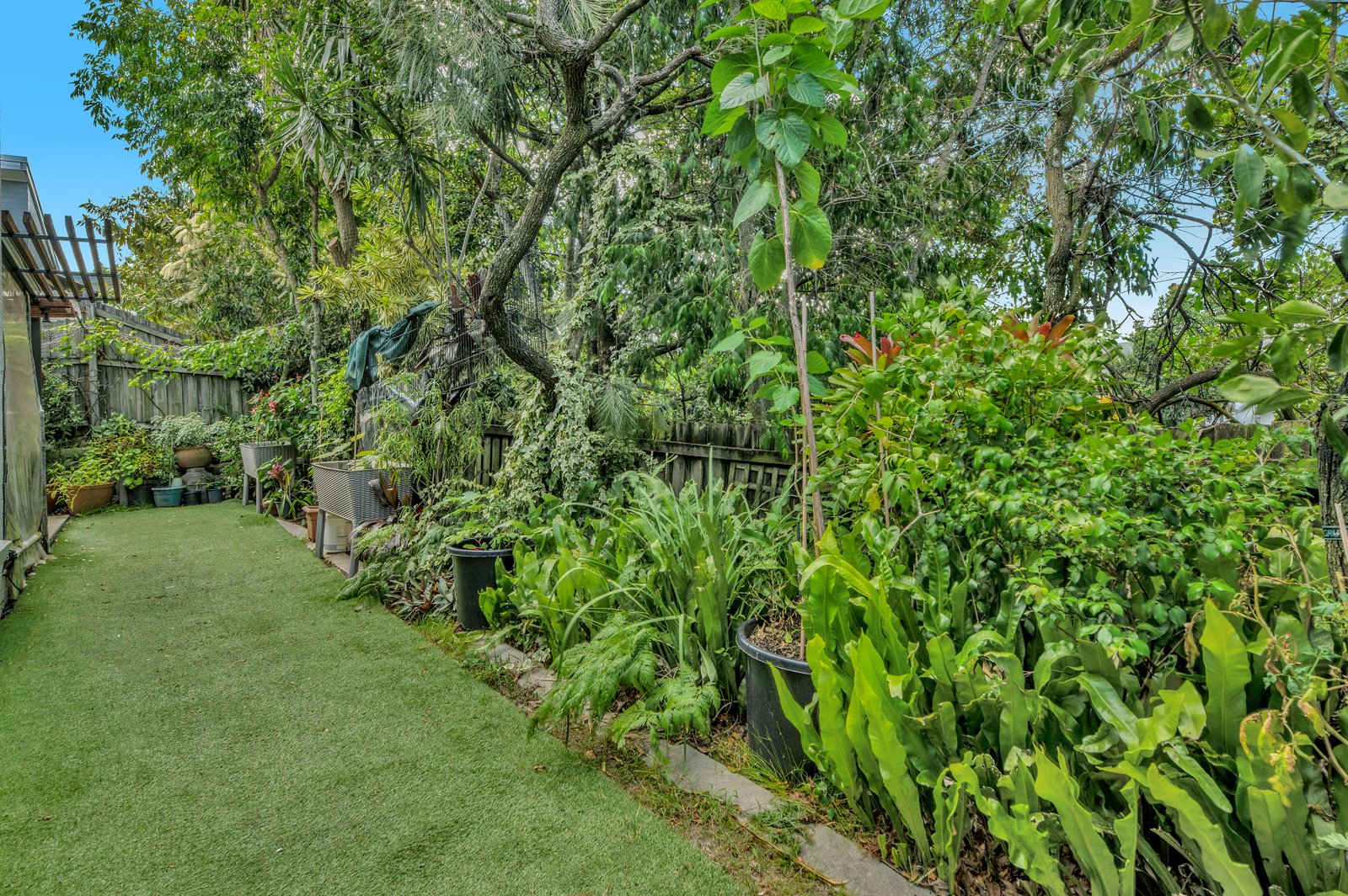 3 Norfolk Drive PACIFIC PINES 8