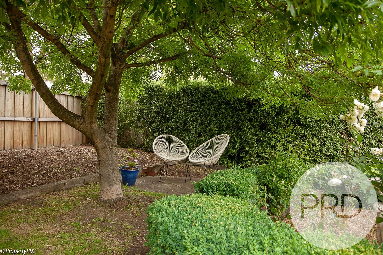 3 Oldham Avenue NEW TOWN 17