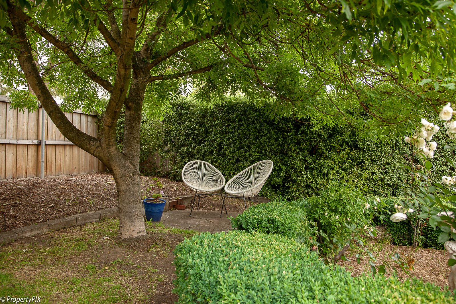 3 Oldham Avenue NEW TOWN 17