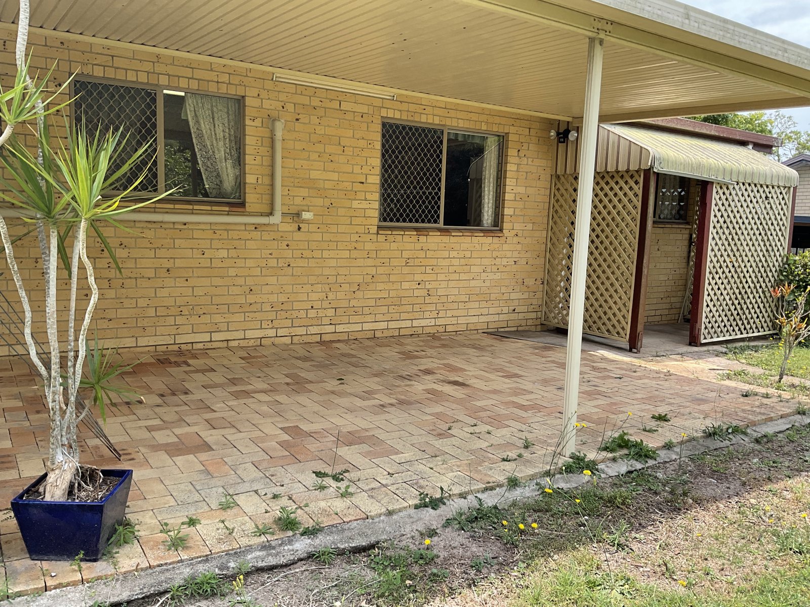 3 Palm Court PIALBA 14