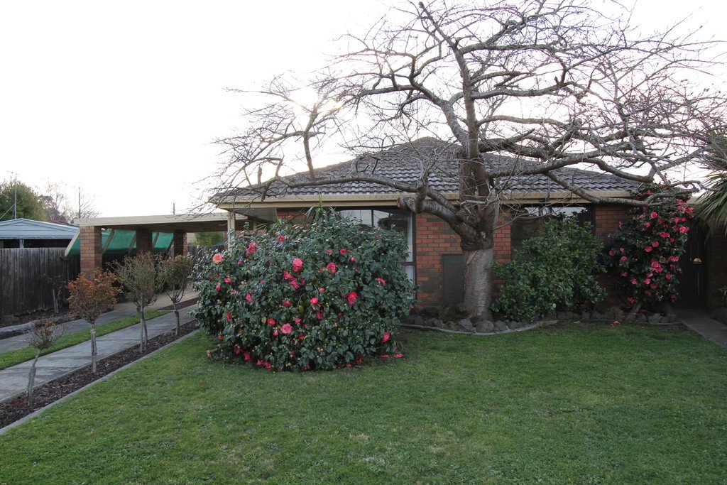 3 Peter Court SEBASTOPOL 26