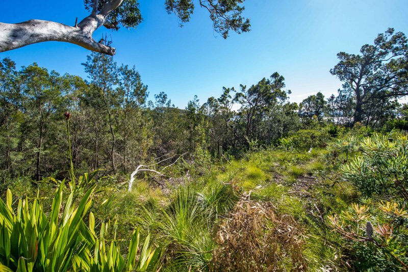 3 Pillinda Court NELSON BAY 2