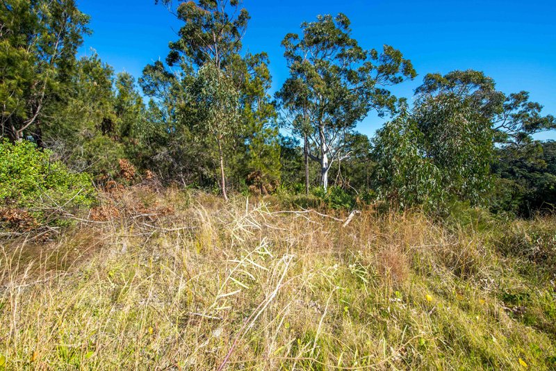 3 Pillinda Court NELSON BAY 3
