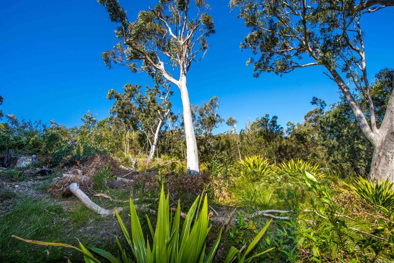 3 Pillinda Court NELSON BAY 6