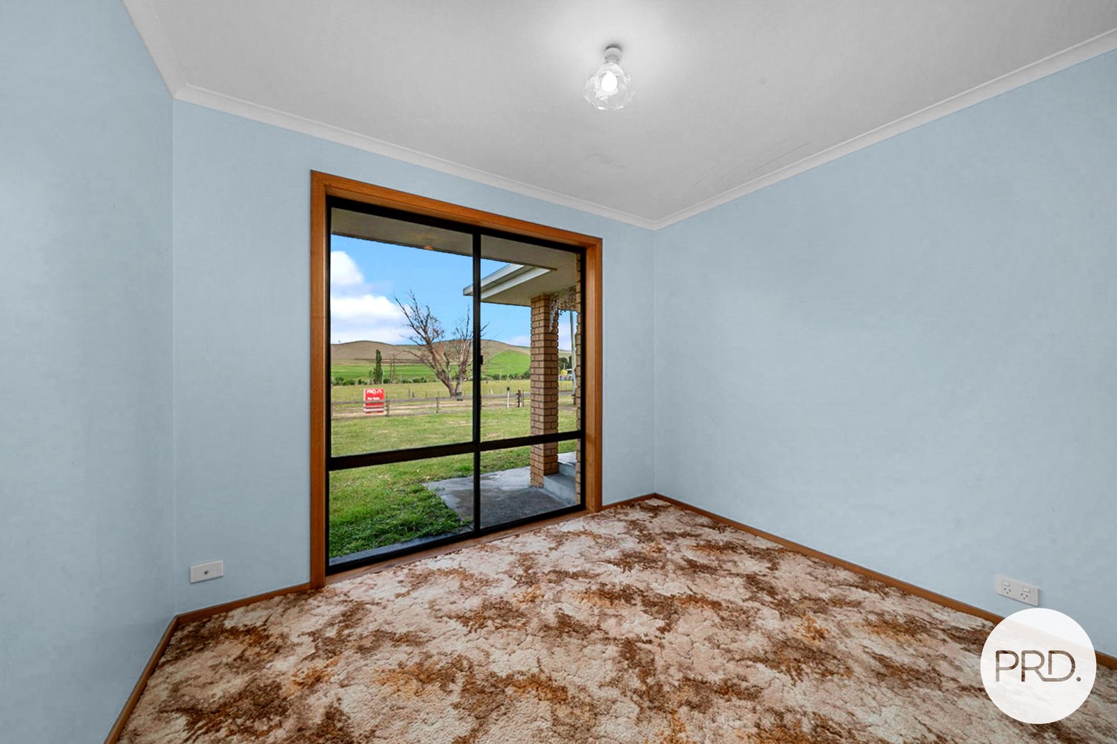 3 Ponsonby Street HAMILTON 9