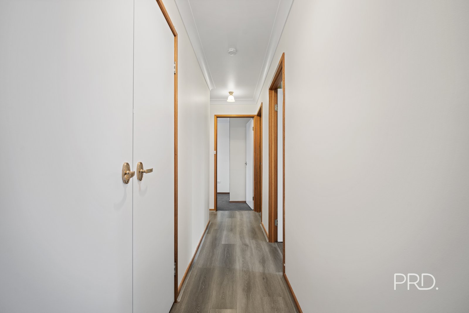 3 Ramus Street TOLLAND 6