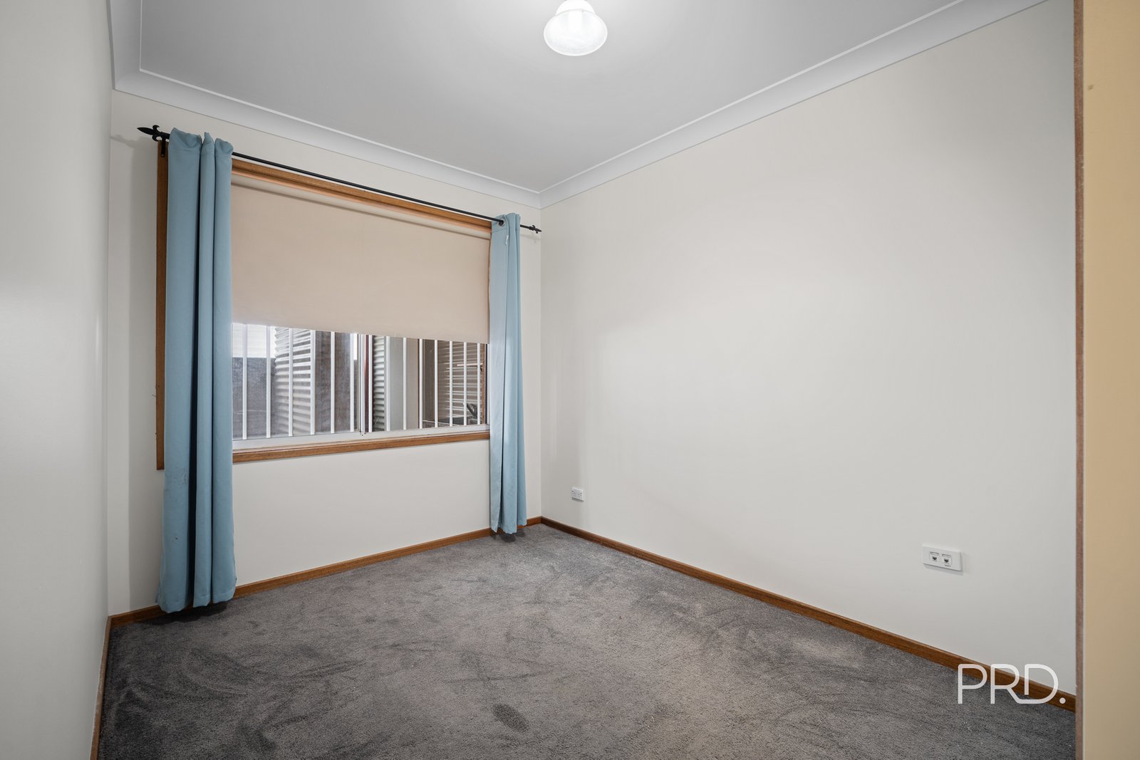 3 Ramus Street TOLLAND 8