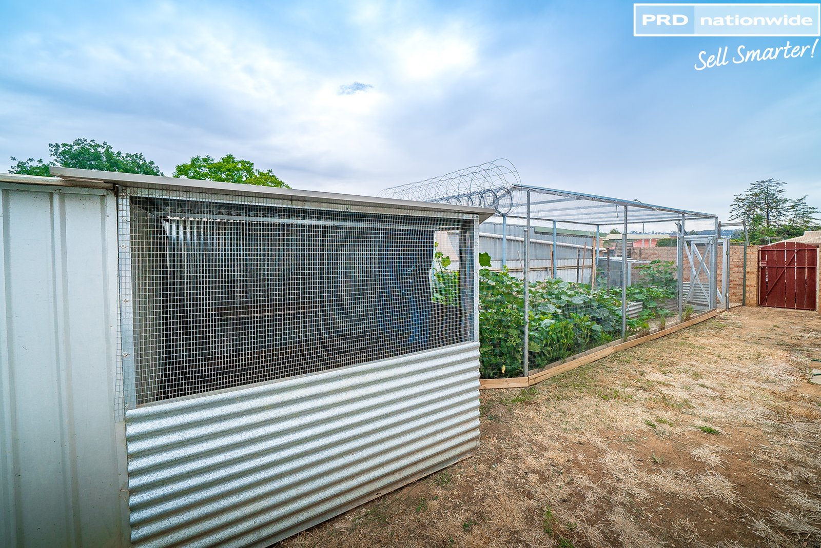 3 Ramus Street TOLLAND 11