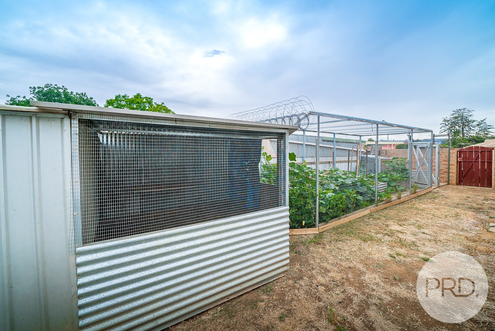 3 Ramus Street TOLLAND 12