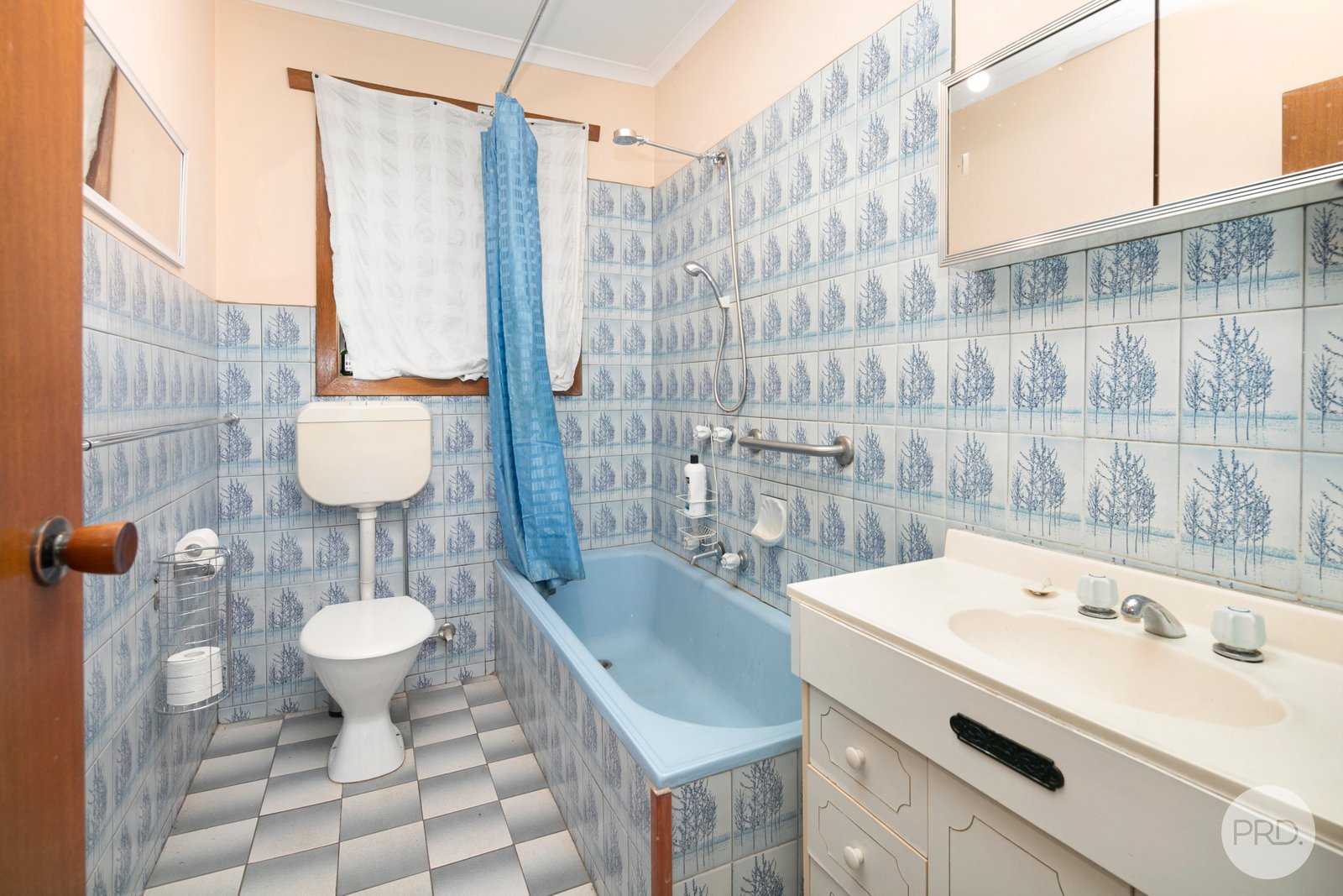 3 Raymond Crescent BROWN HILL 10