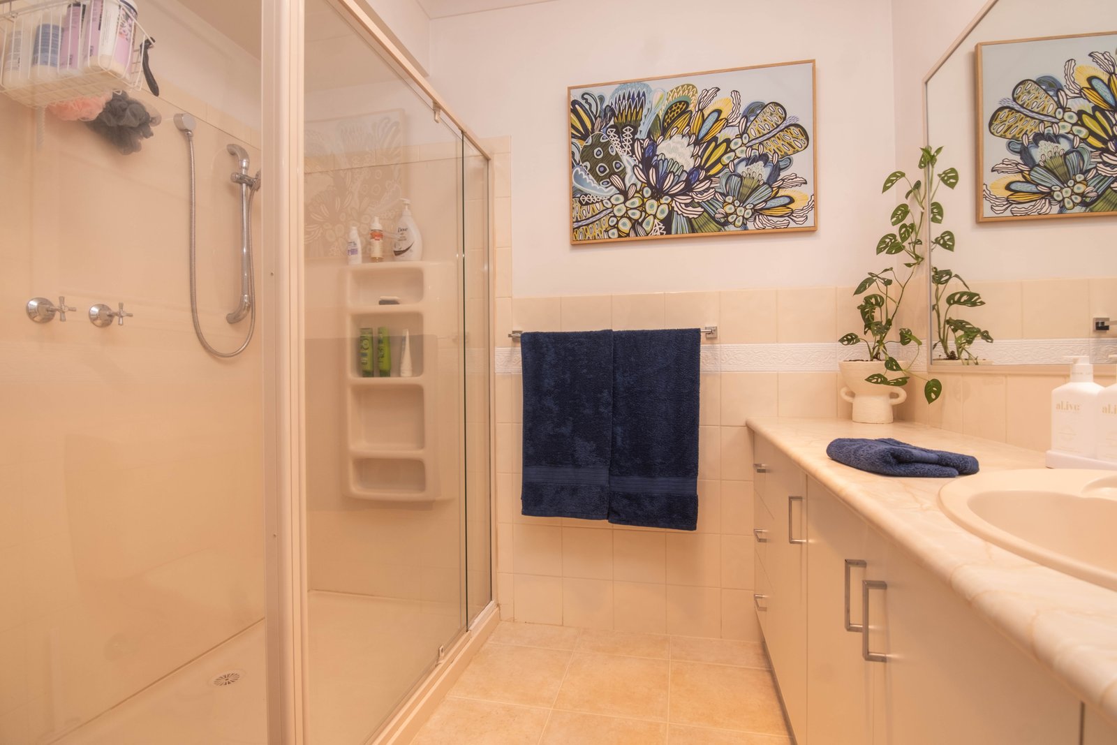 3 Romney Crescent SHEPPARTON 7