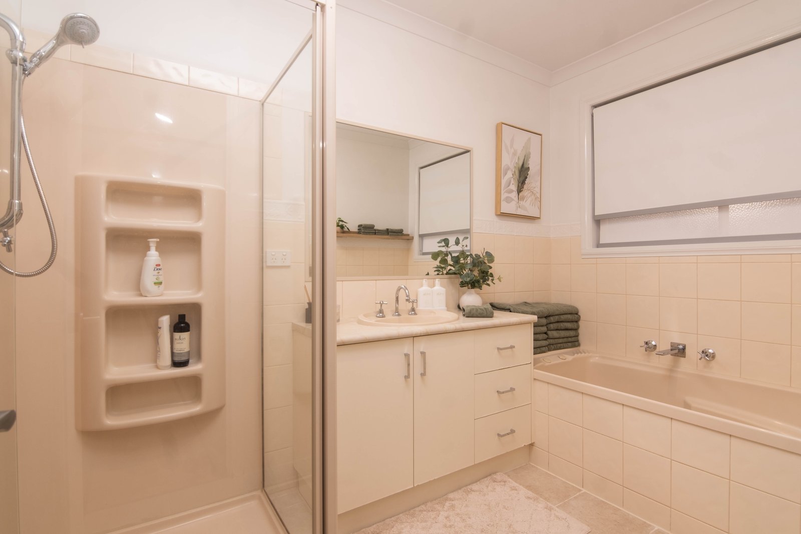 3 Romney Crescent SHEPPARTON 11