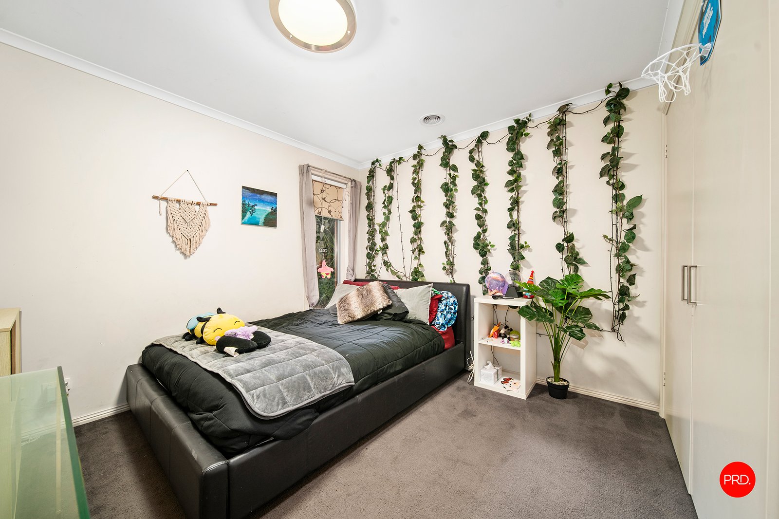 3 Rosea Court ASCOT 10