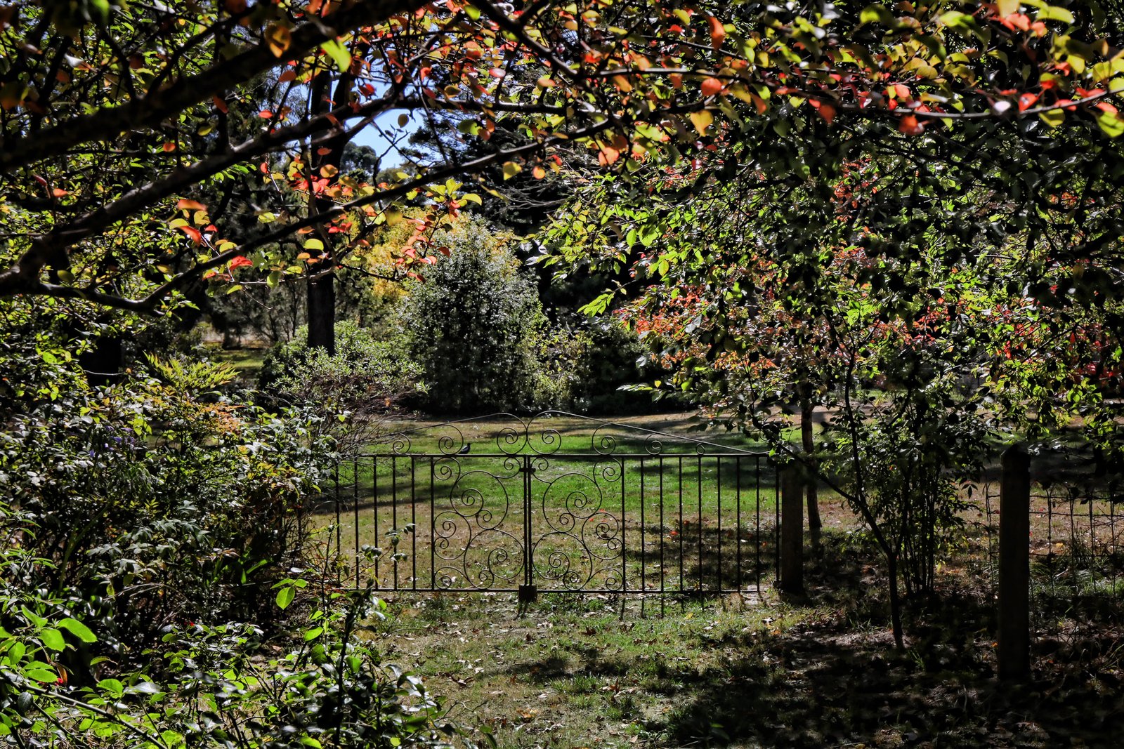 Real Estate and Property in 3 Royston Road, Woodend, VIC