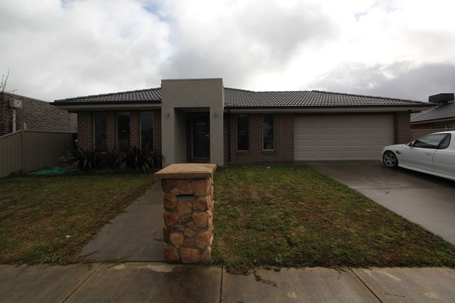 3 Rundell Place ALFREDTON 1