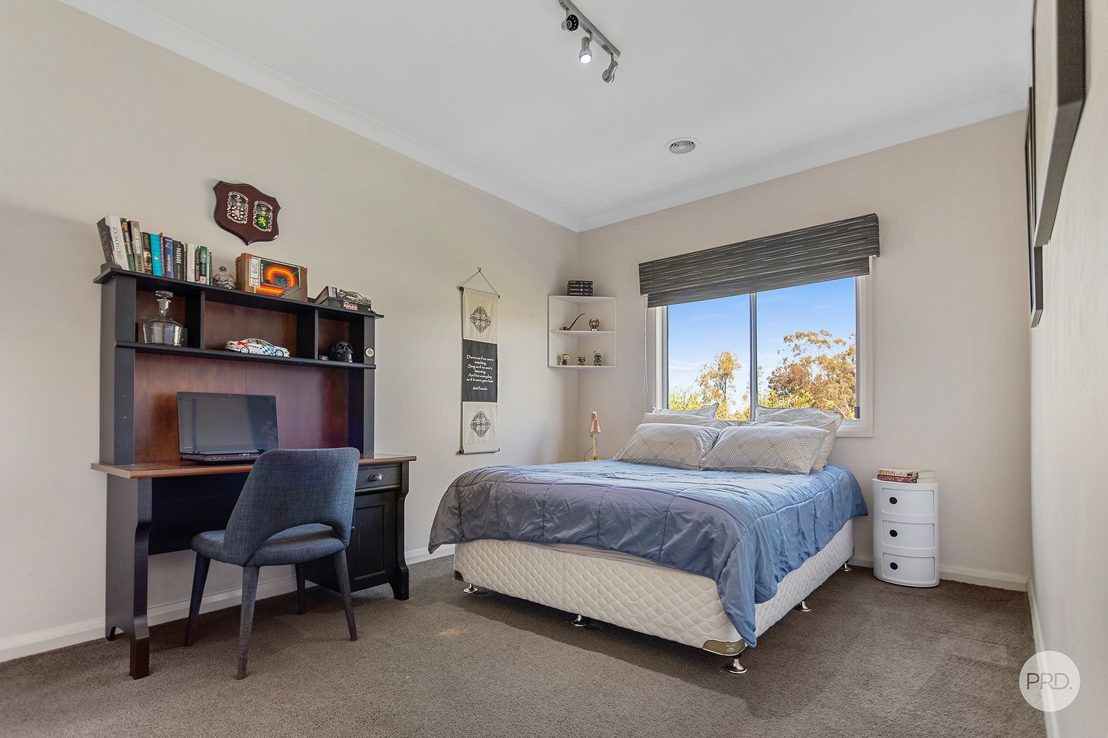 3 Skibo Heights WHITE HILLS 9