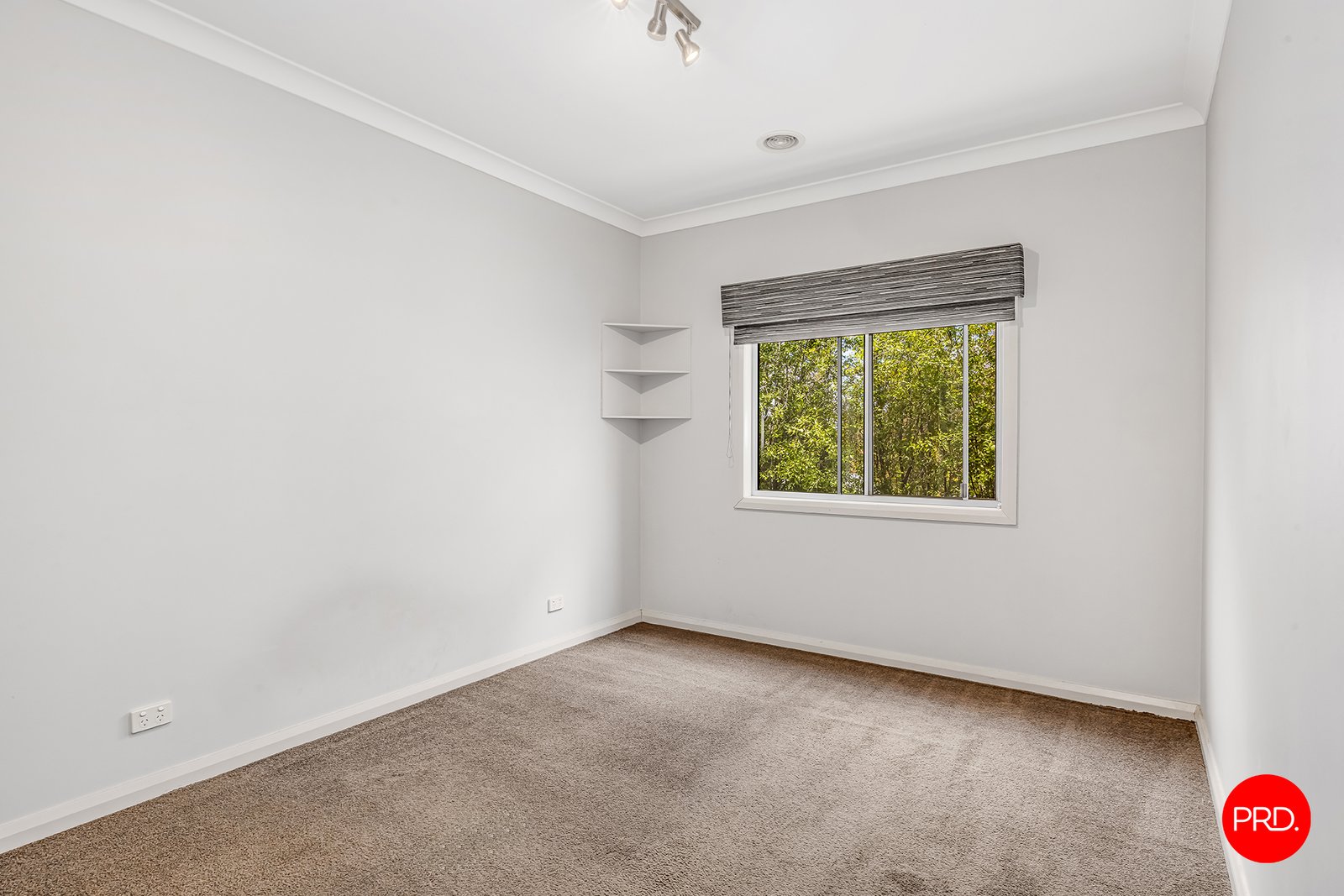 3 Skibo Heights WHITE HILLS 9