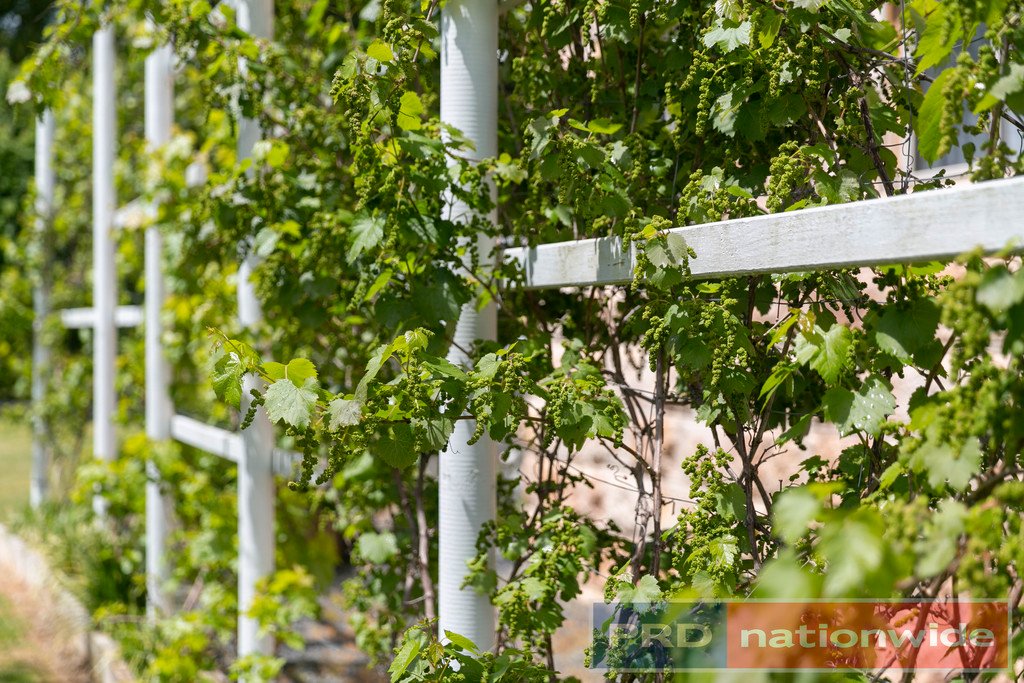 3 Springwood Close ENFIELD 16