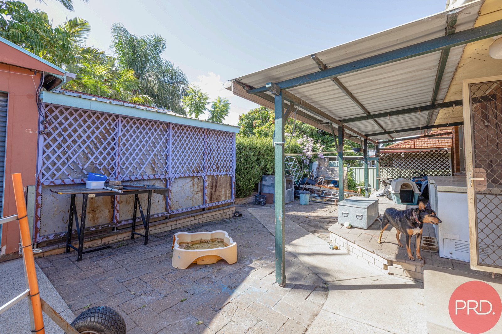 3 Tannant Avenue RUTHERFORD 10