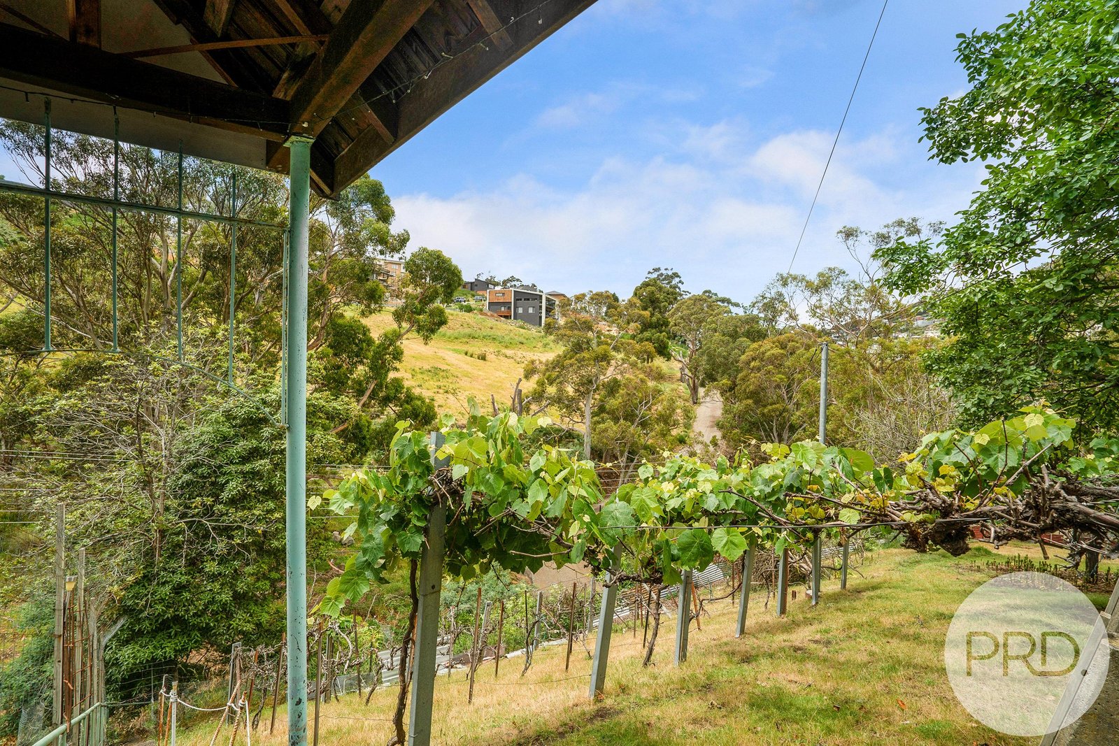 3 Tara Street SOUTH HOBART 31