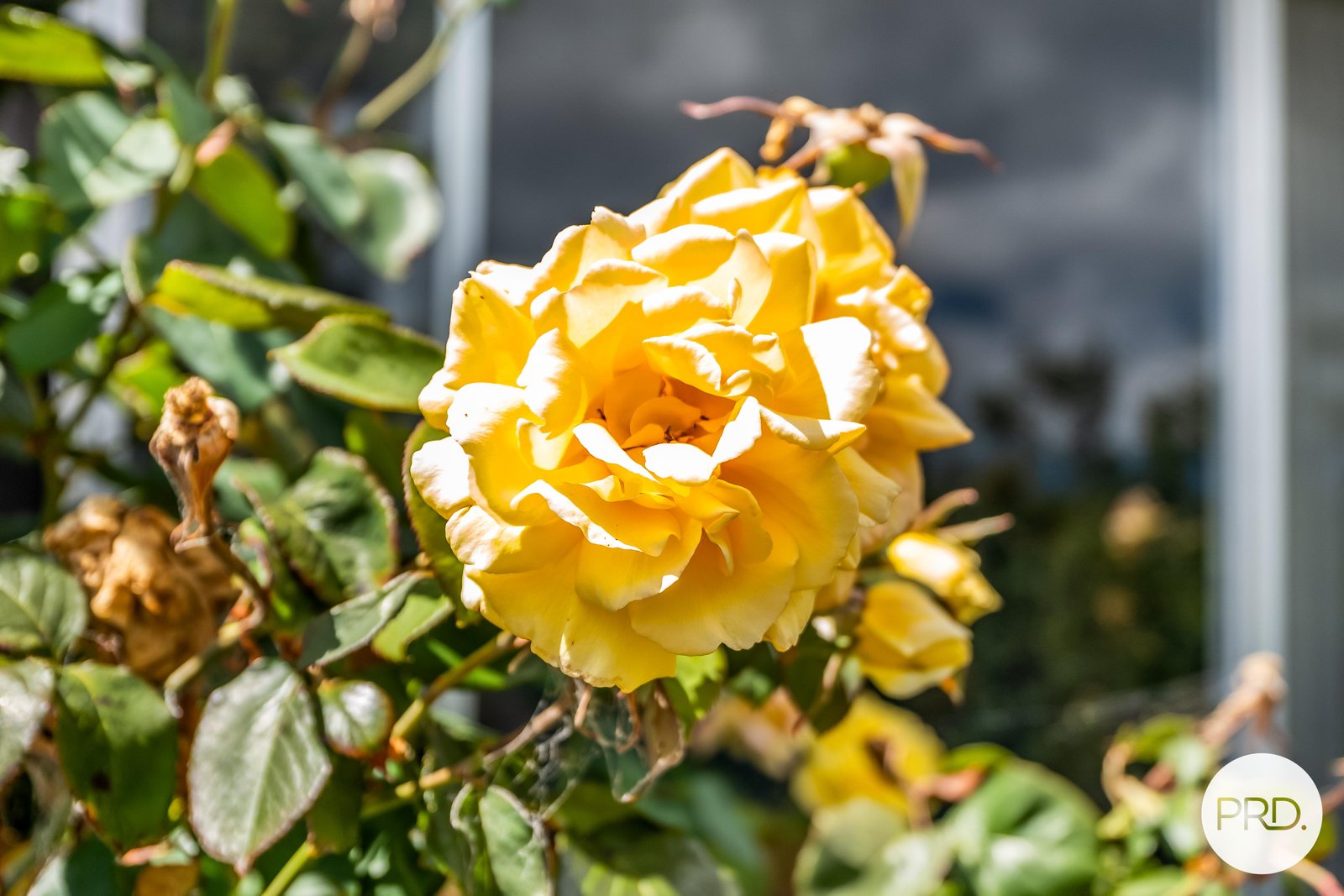 3 The Keep  CLARENDON VALE 18