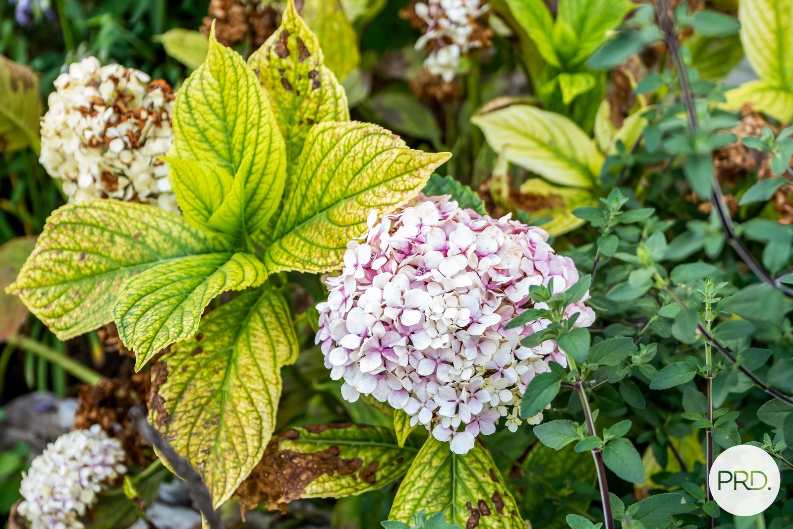 3 The Keep  CLARENDON VALE 19