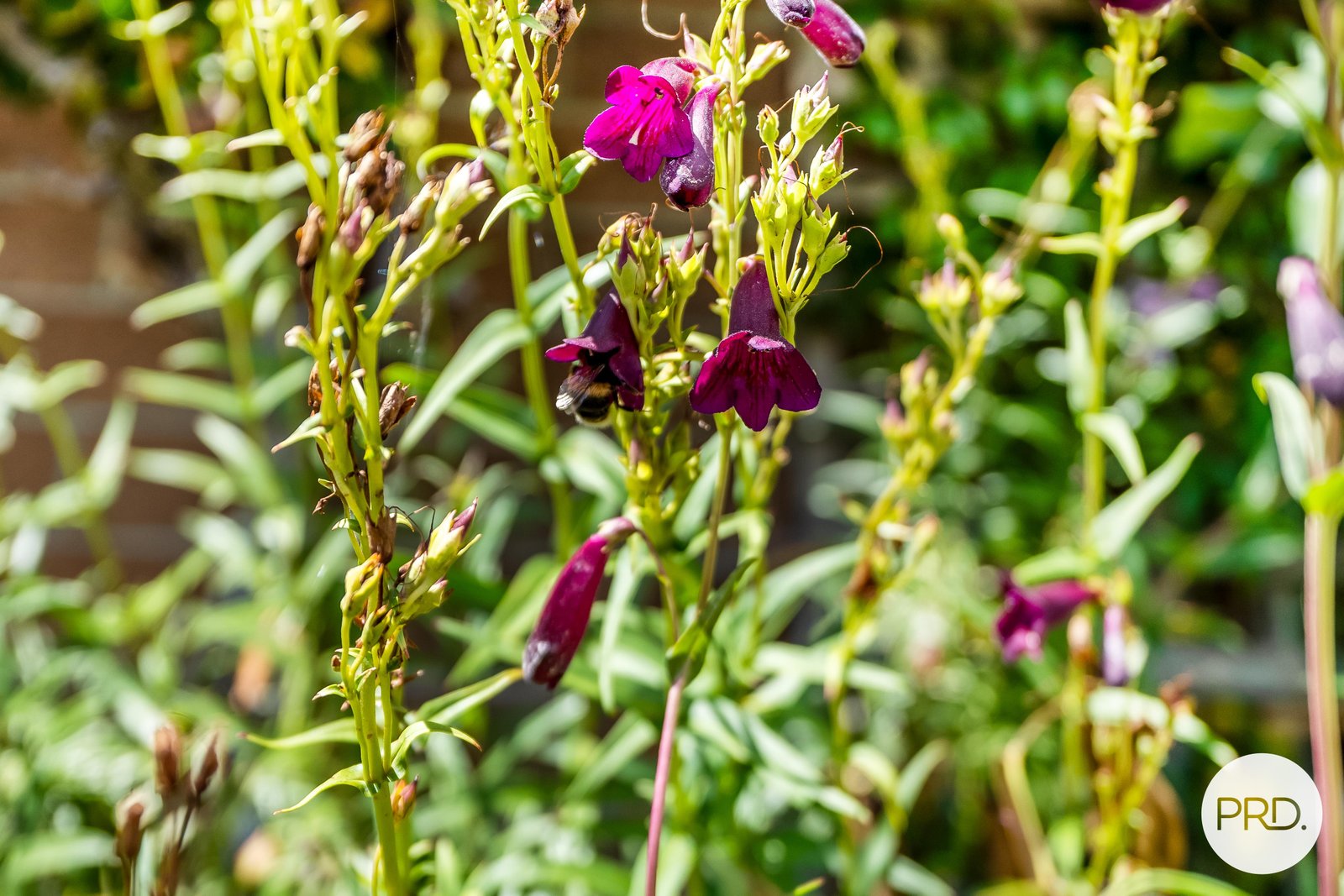 3 The Keep  CLARENDON VALE 20