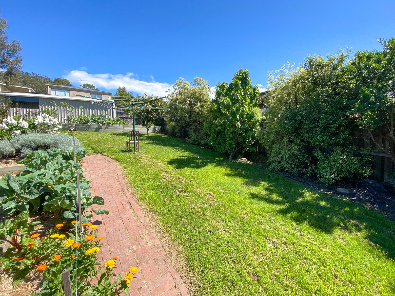 3 Tollard Place ROKEBY 15