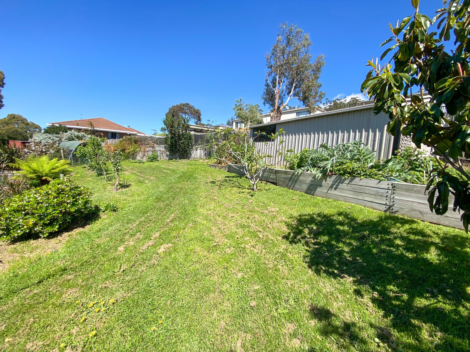 3 Tollard Place ROKEBY 16