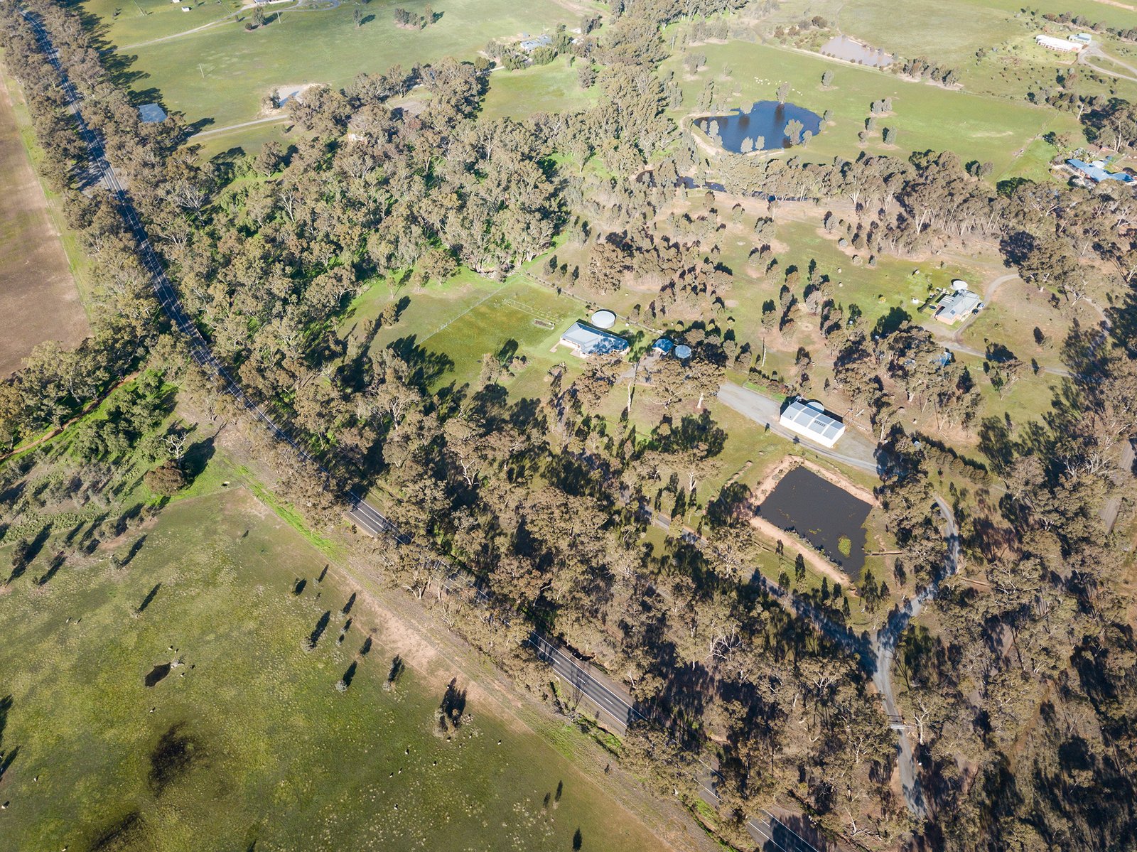 3 Whyte Lane SHELBOURNE 19